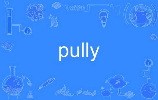pully_百度百科