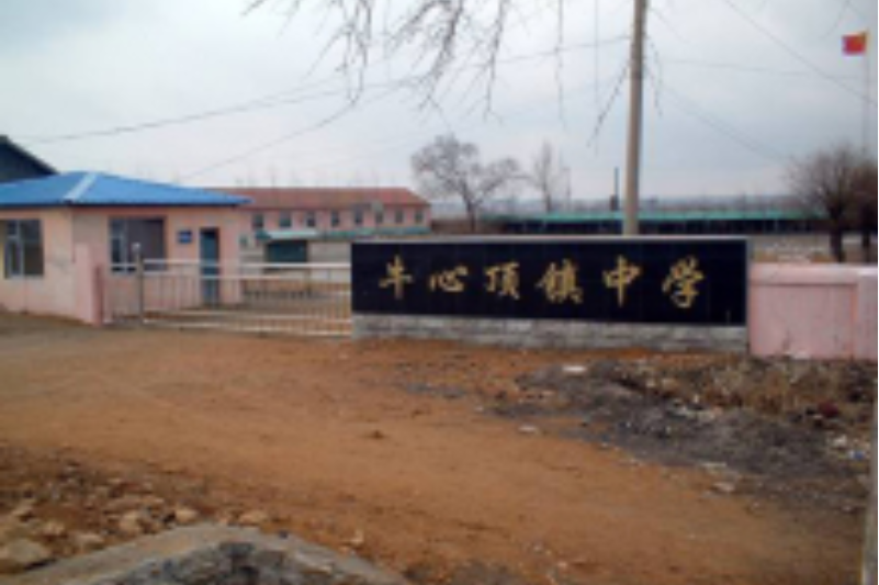 梅河口市牛心顶镇中心中学
