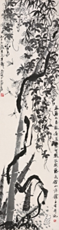 野藤蜻蜓