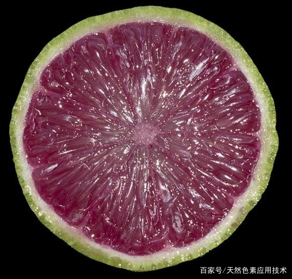 科学家培育出富含天然色素-花青素的紫色果肉酸橙_百科TA说
