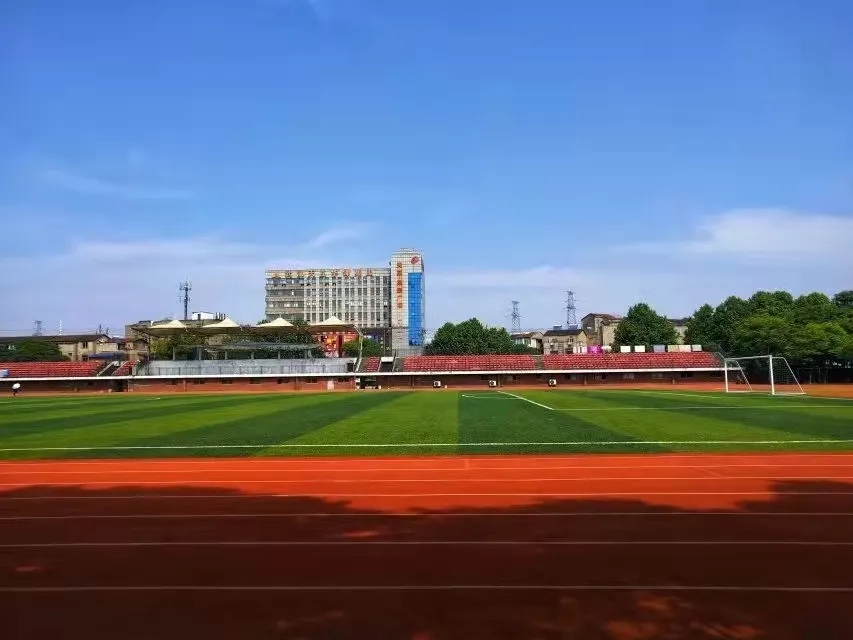 武汉城市学院