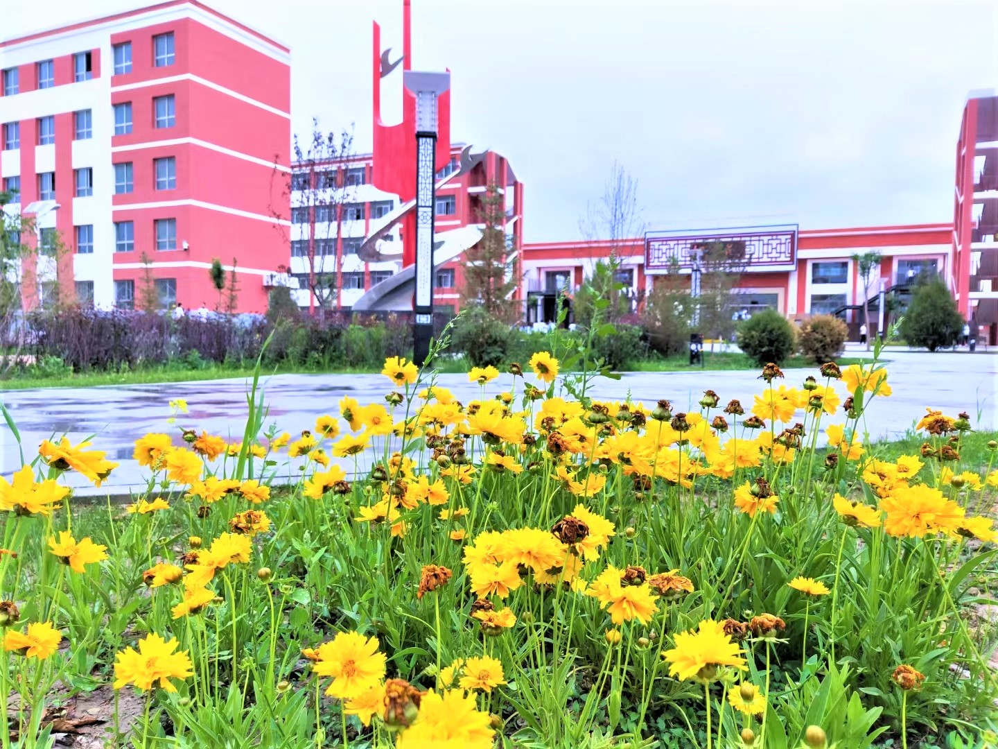 兰州新区高级中学