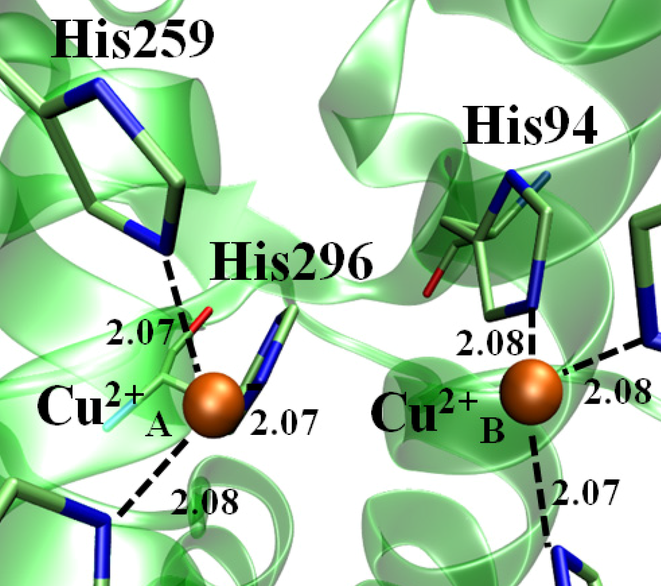 成邻苯醌或对一苯醌的酶,酚氧化酶分为单酚氧化酶(monophenol oxidase