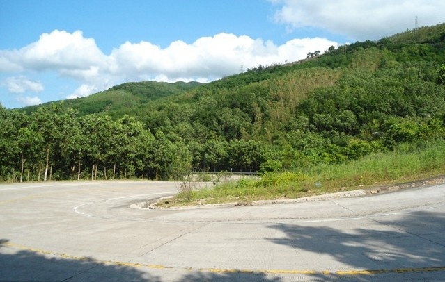  p>海南省国营南林农场位于万宁市境内,东面与闻名遐迩的兴隆热带植物