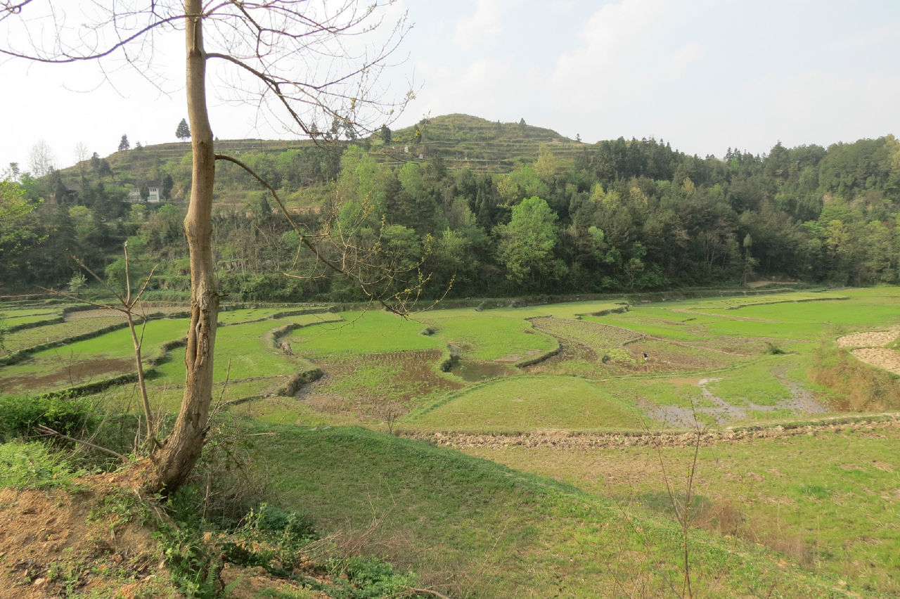  p>万屯村位于贵州省石阡县中坝镇北部,东经108.19度,北纬27.