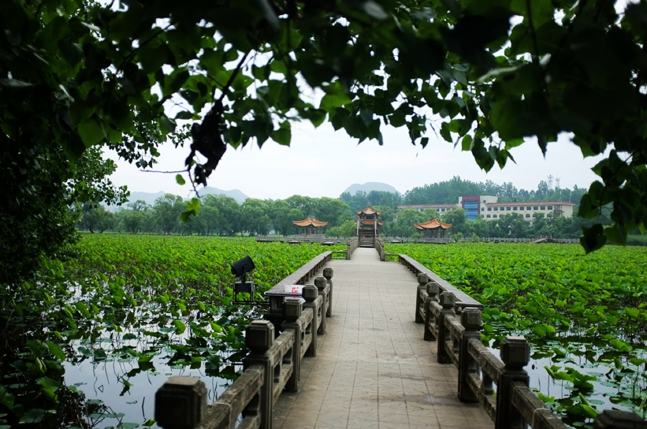  p>招堤位于贵州省 a target="_blank" href="/item/黔西南布依族苗族