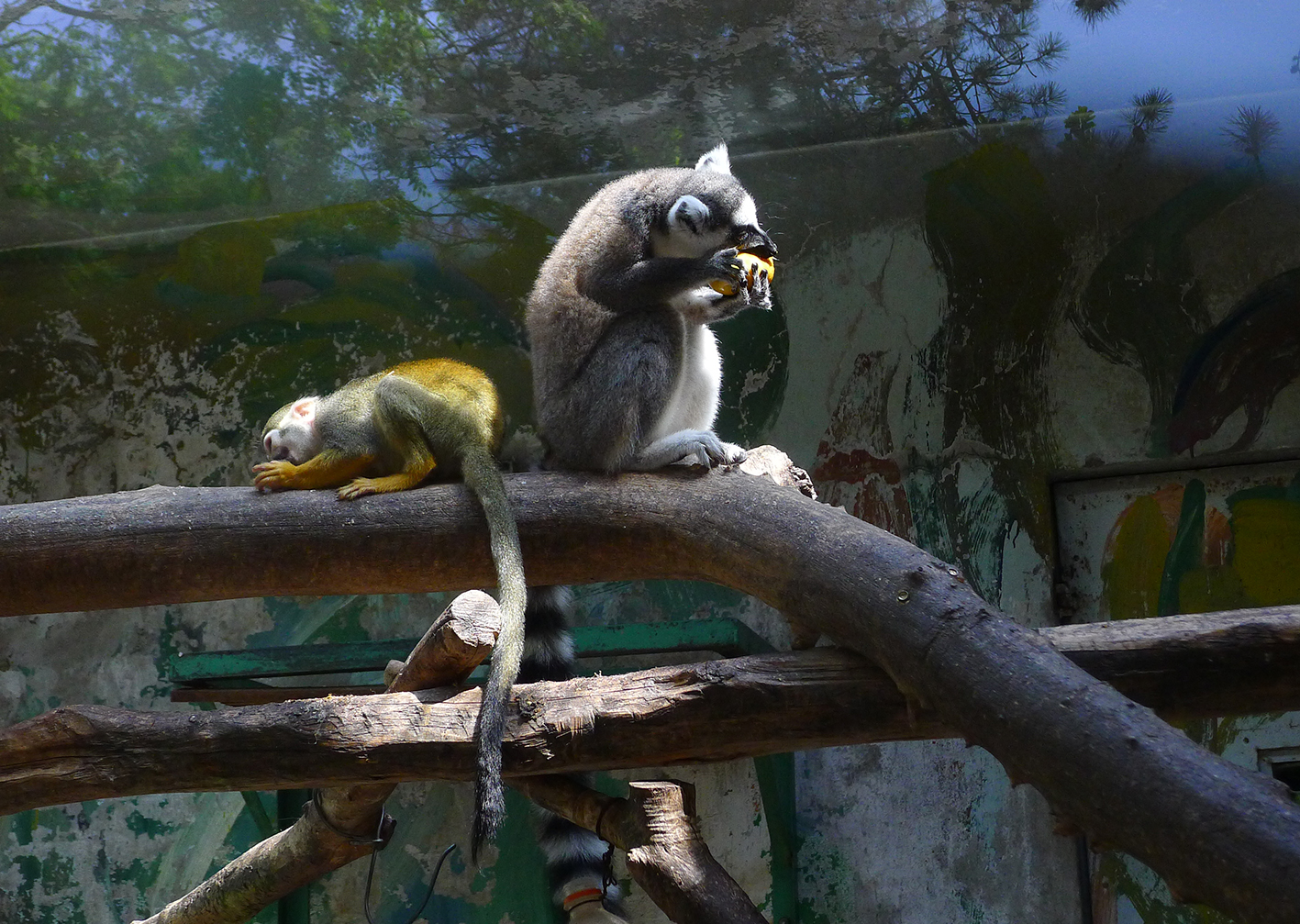  p>北京动物园位于中国北京市 a target="_blank" href="/item/西城区