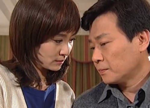 2092019" data-lemmaid="2092019">台湾电视公司 /a>拍摄的20集电视剧