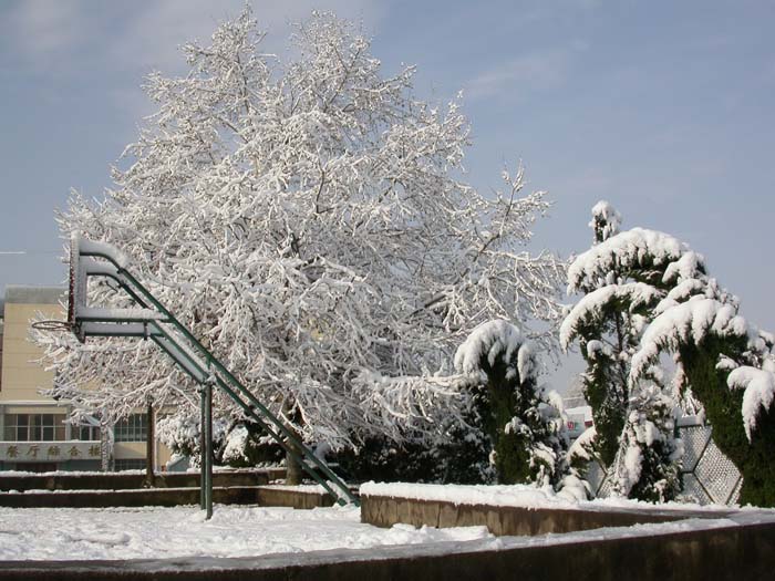  p>玉山县第二中学,简称玉山二中,是江西省重点中学,创建于1978年,原