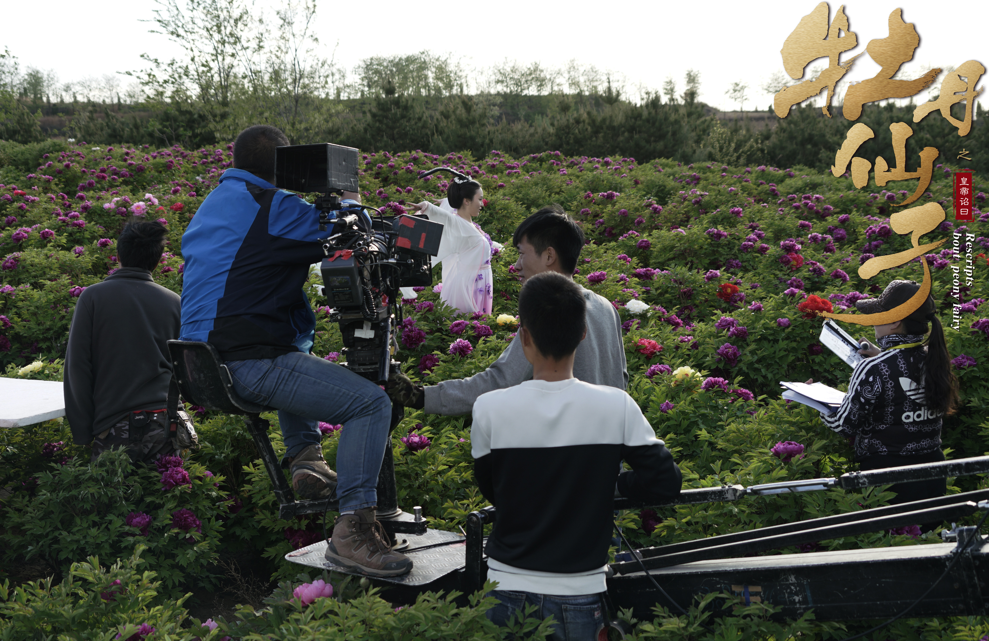 《牡丹仙子之皇帝诏曰》是一部由苏俊岐编剧的电影作品,影片主要讲述