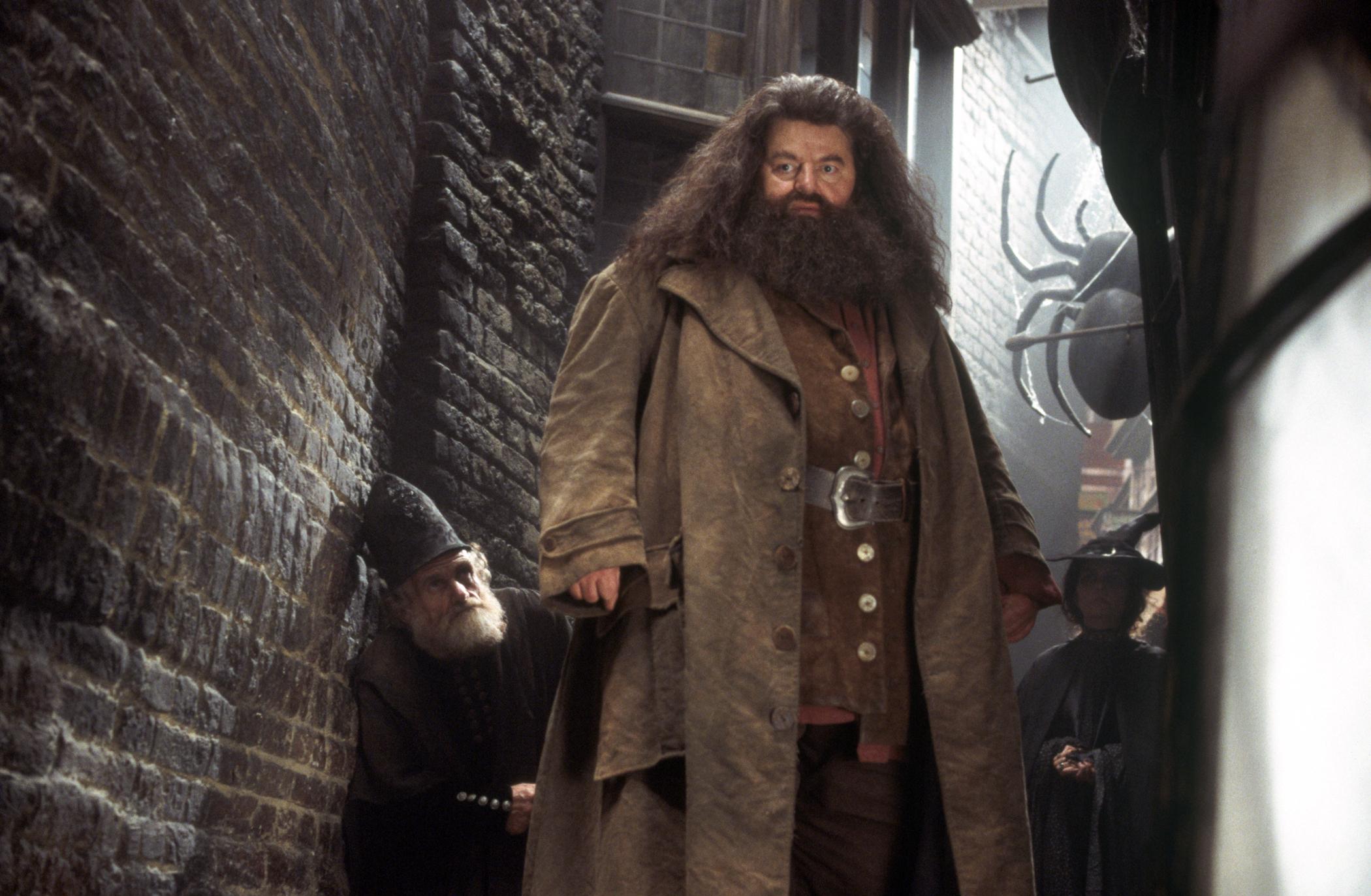  p>影片《哈利·波特与密室》(harry potter and the chamber of