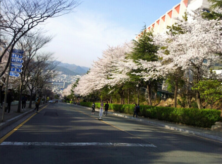东义大学_百度百科