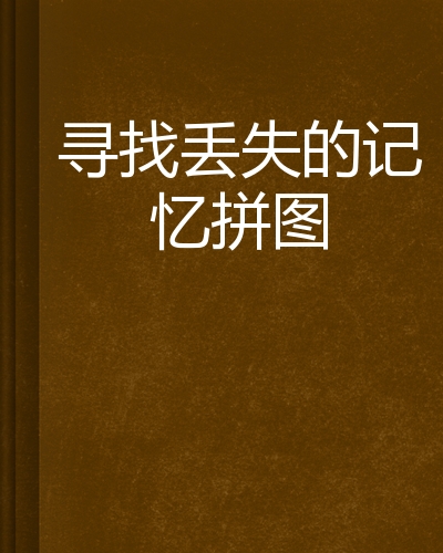 寻找丢失的记忆拼图