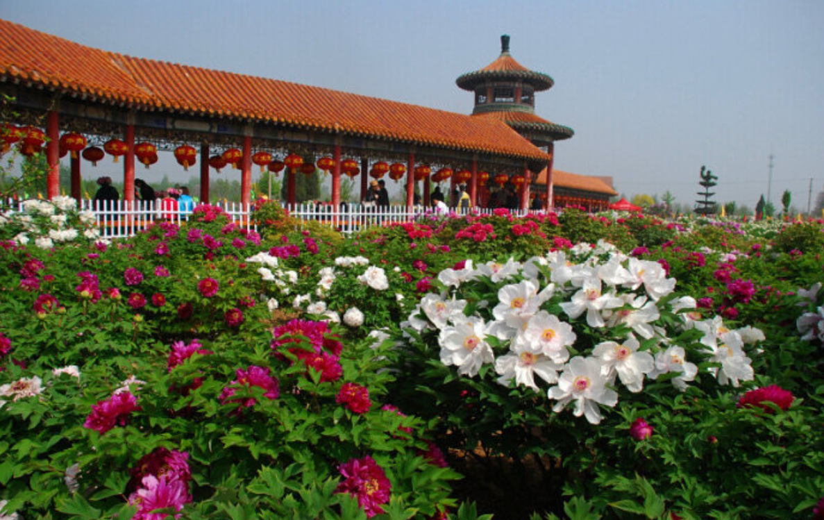  p>曹州百花园座落在山东省 a href="#" data-lemmaid="15394573">