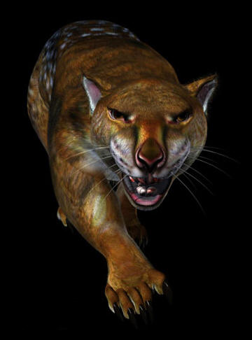  p>袋狮(学名: i>thylacoleo /i>)是一种生活在澳大利亚的 a href="#"