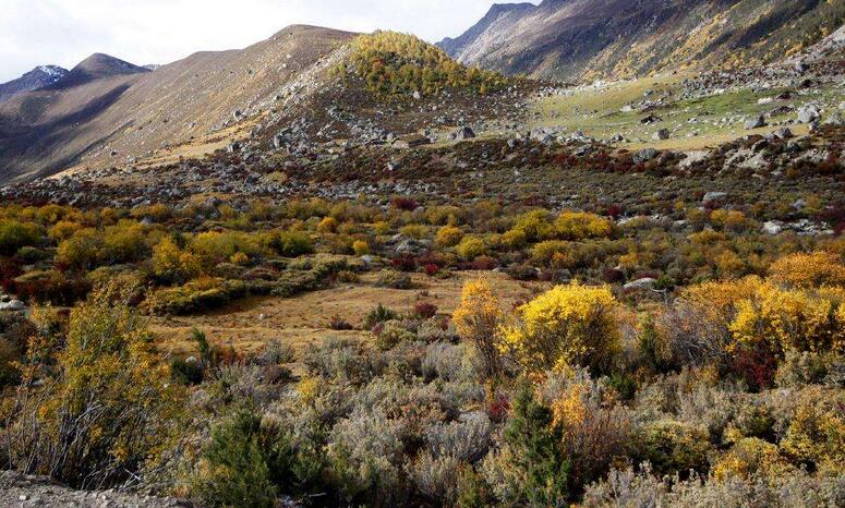  p>巴姆七湖景区位于乡城县城以东的群山之中.