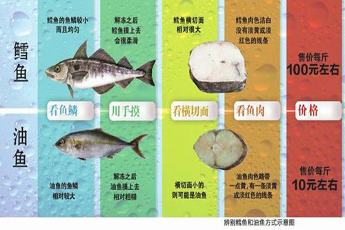  p>油鱼是 a href="#" data-lemmaid="2095677">棘鳞蛇鲭 /a>和 a