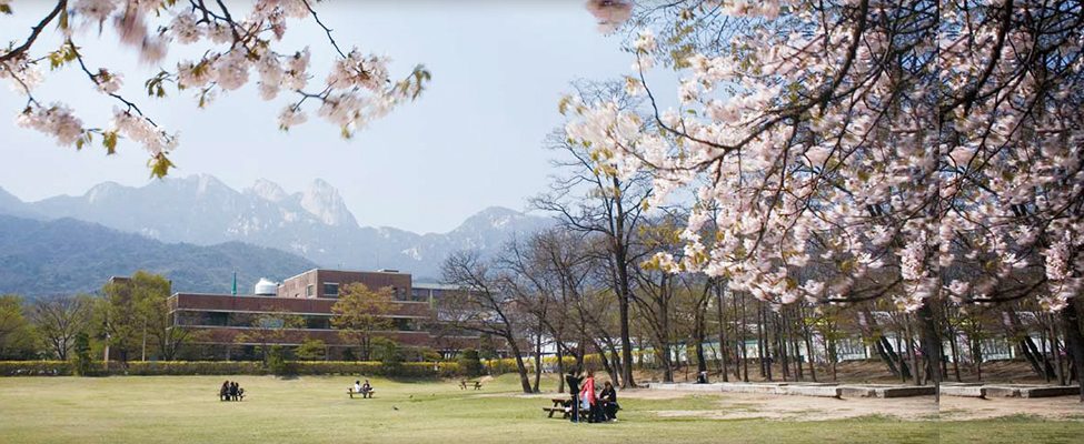  p>德成女子大学(                     ,duksung womens university