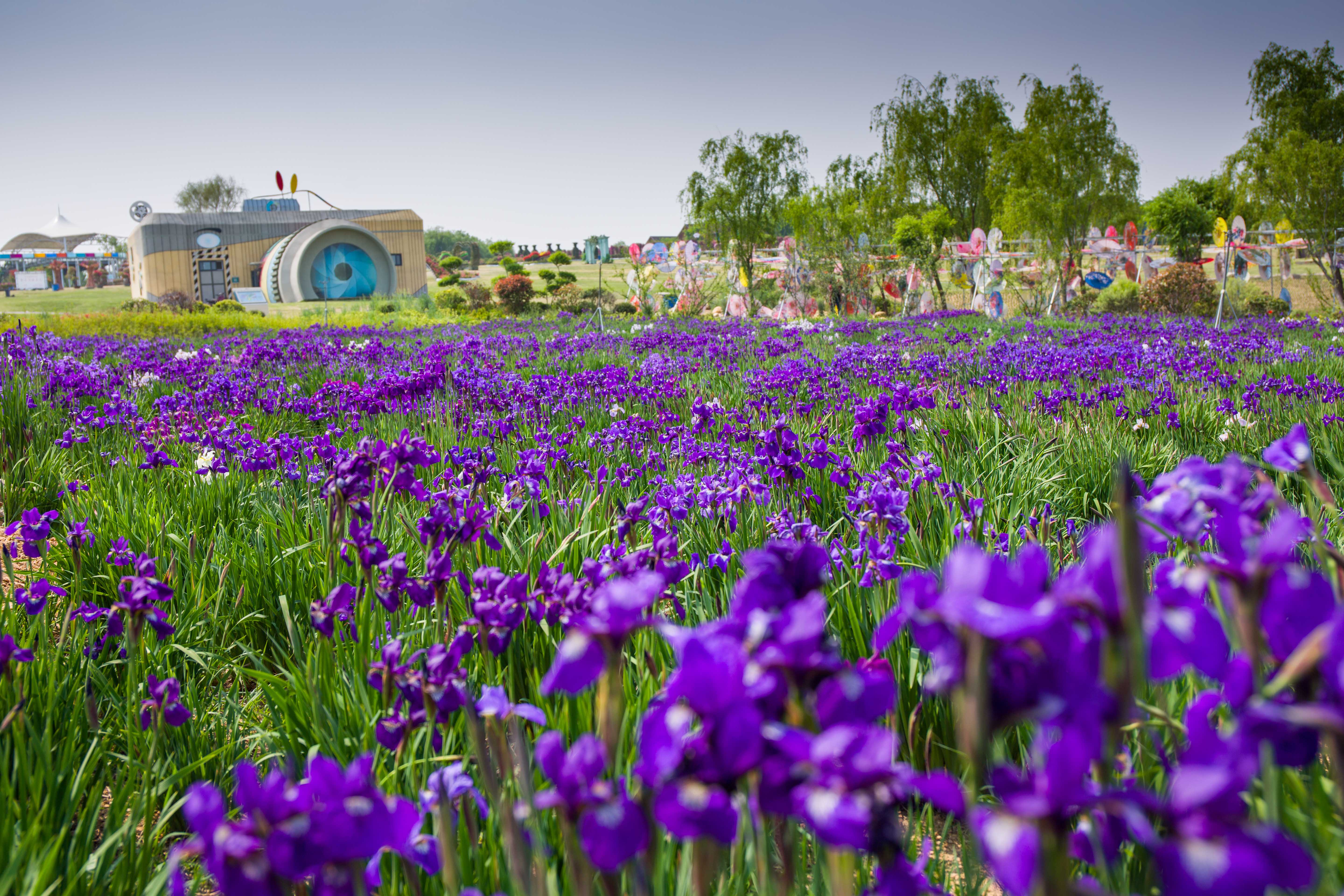 日照花仙子风景区