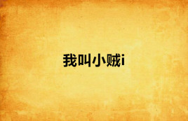 我叫小贼i