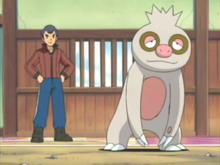 公司开发的掌机游戏系列《宝可梦》及其衍生改编的动画作品《宝可梦》