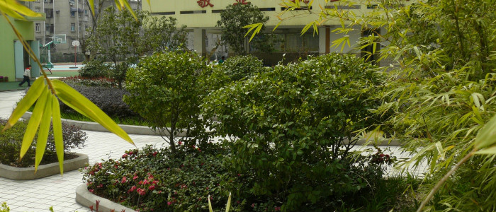  p>南京市紫竹苑小学,位于南京市的一所所厂办小学. /p>