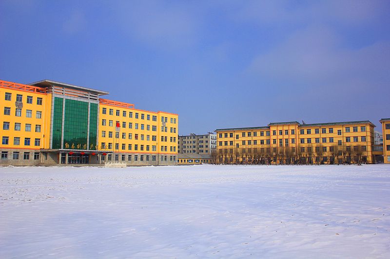  p> a href="#" data-lemmaid="4965825">伊通一中 /a>是 a href="#">