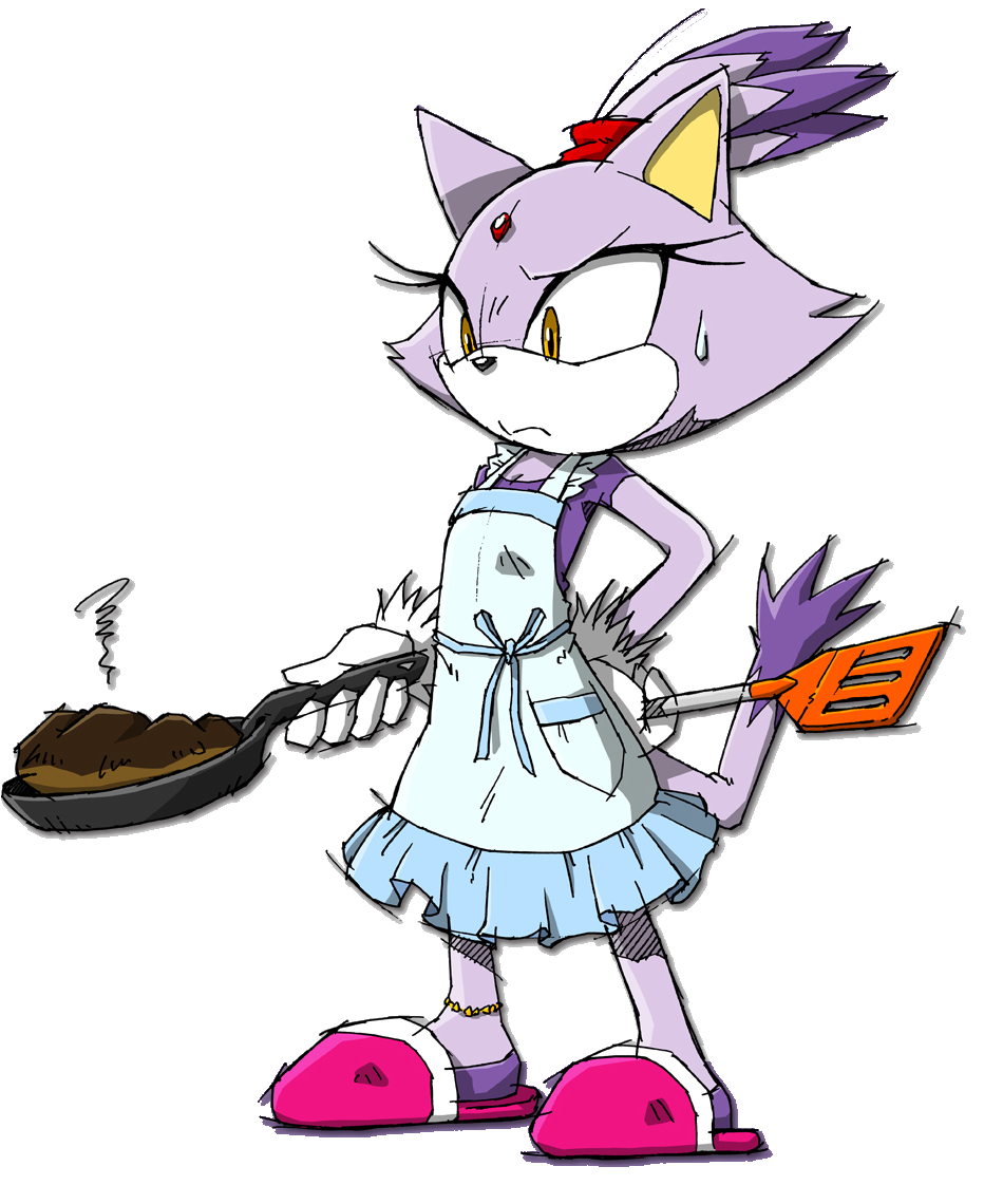  p> b>blaze the cat /b>(布蕾兹,ブレイズ   ザ   キャット, i>burei