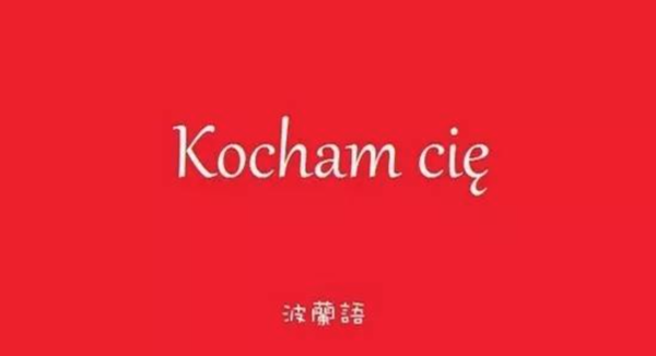 polski;英语:polish)是波兰的官方语言,属于 a target="_blank" href=