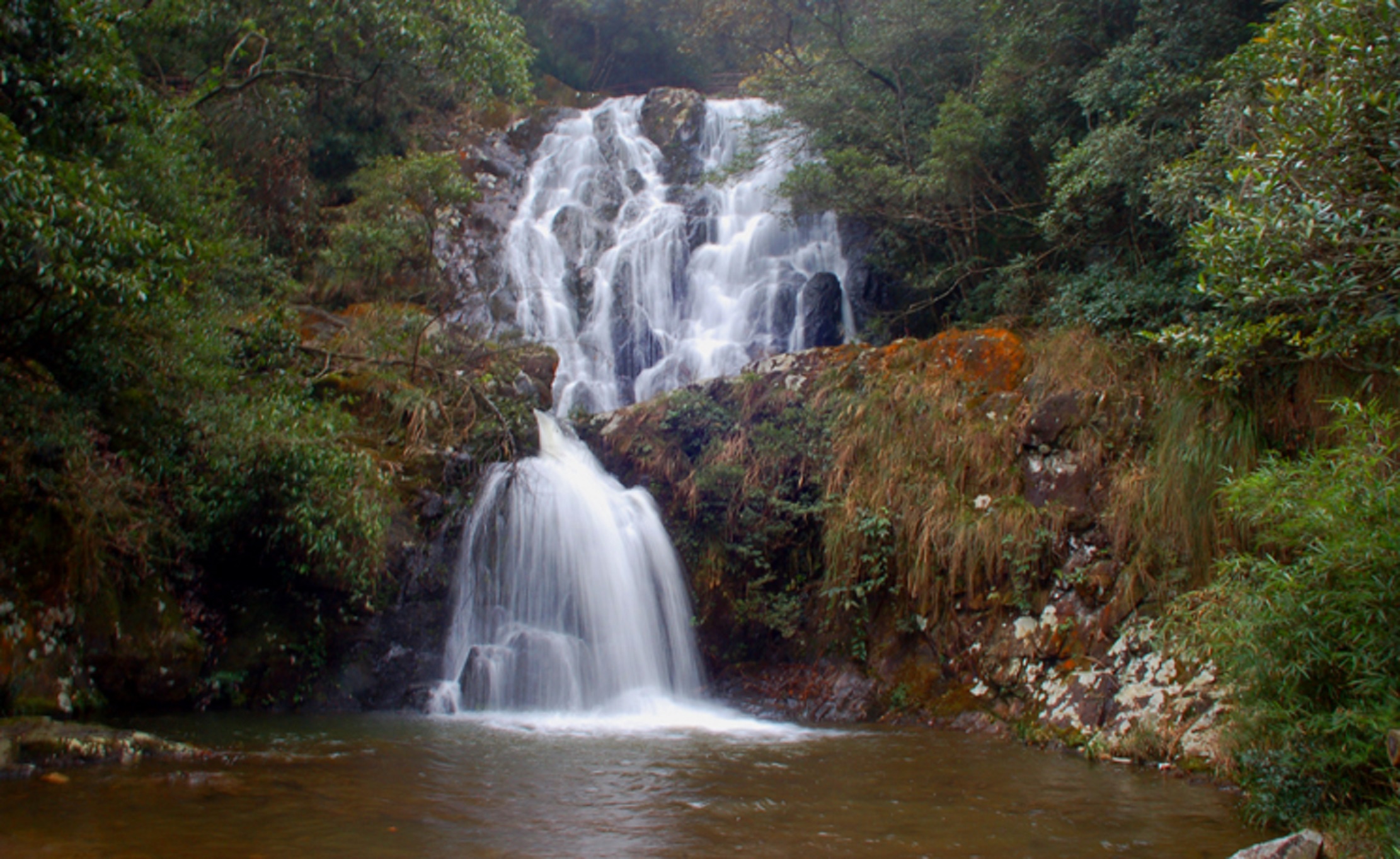 福建旗山国家森林公园