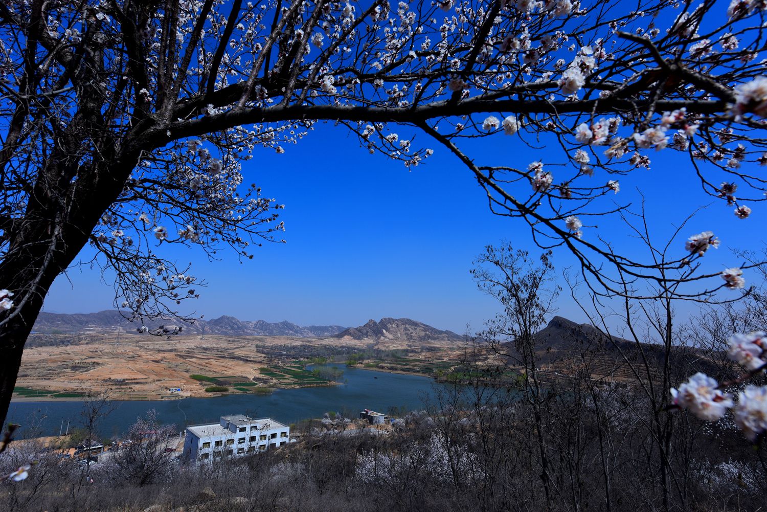  p>牛王寨地处河北省 a target="_blank" href="/item/行唐">行唐 /a>