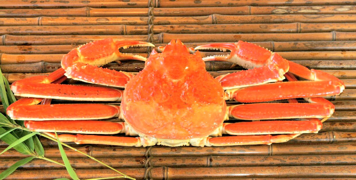  p>雪蟹:学名:灰眼雪蟹(科学命名):chionoecetes opilio, chionoece