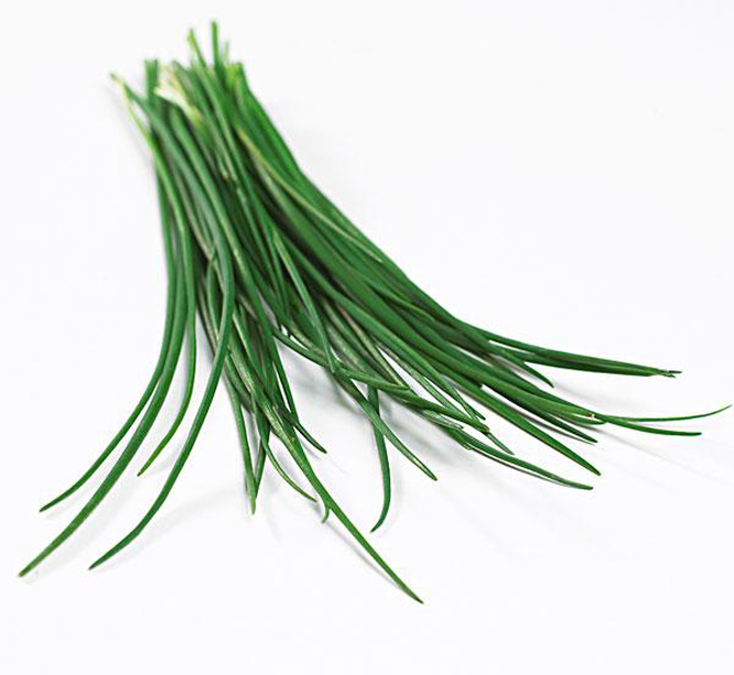 细香葱