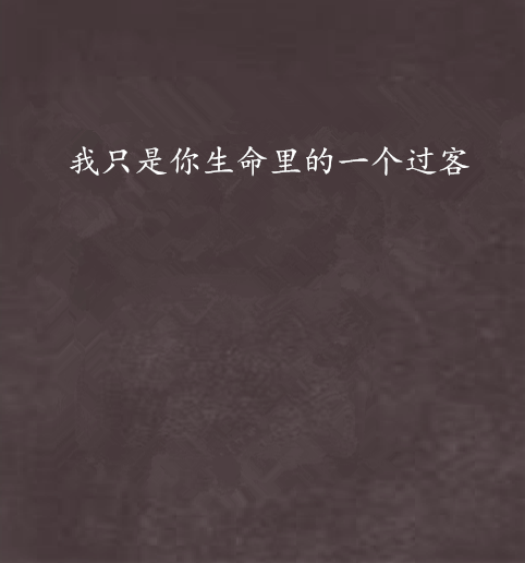 我只是你生命里的一个过客