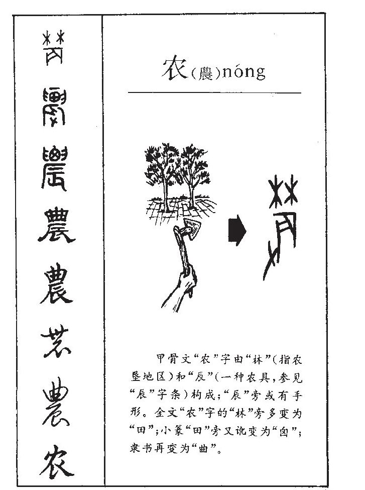  p data-id="gnbqlu1icx">农(拼音:nóng)是汉语一级通用规范汉字