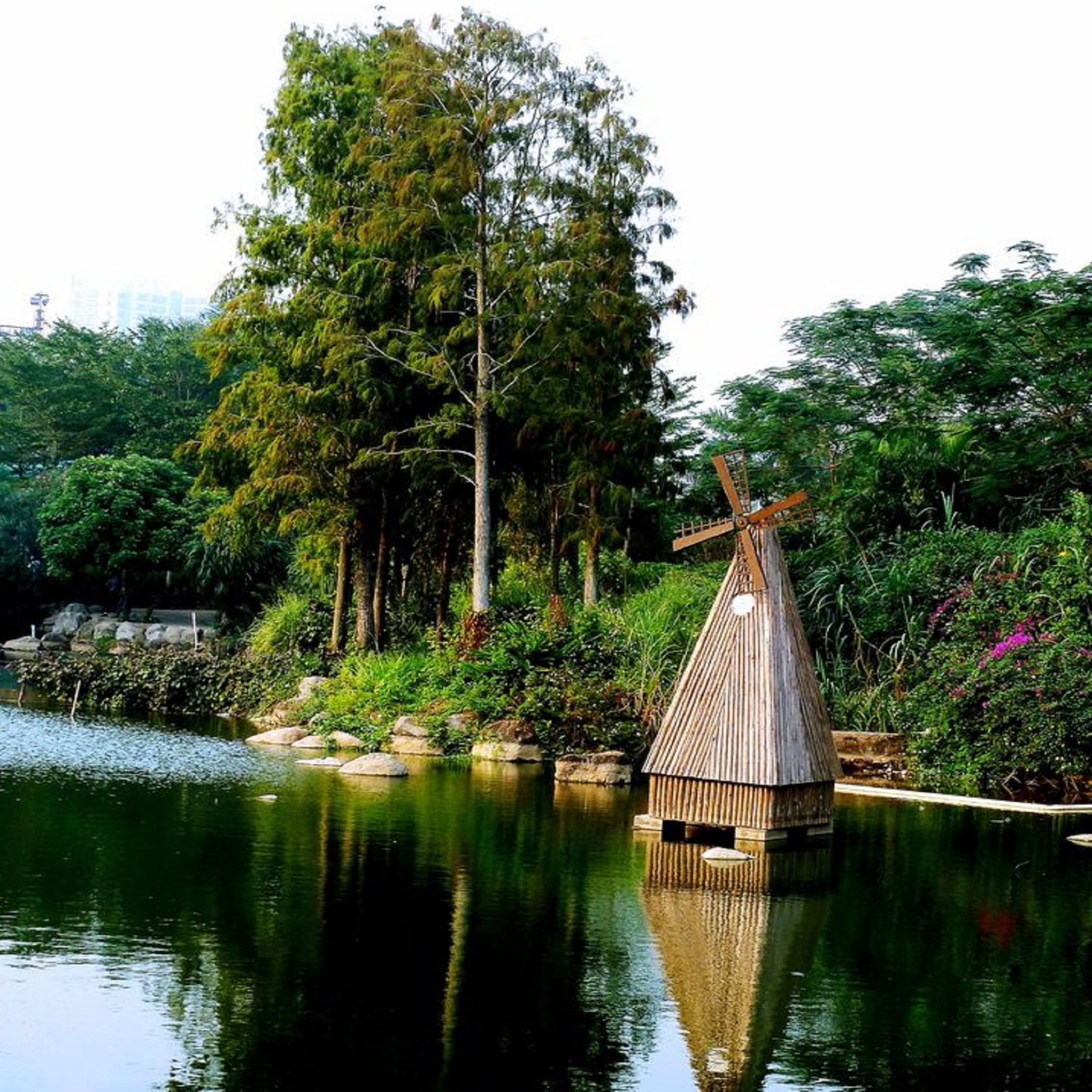  p data-id="gnx4odpr90">霞湖公园位于广东省湛江市 a target="