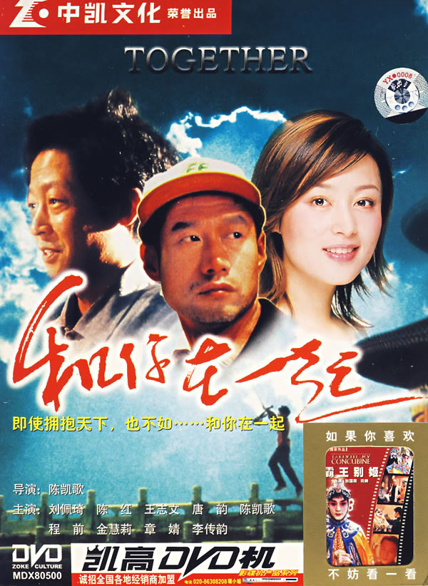 和你在一起together(2002)