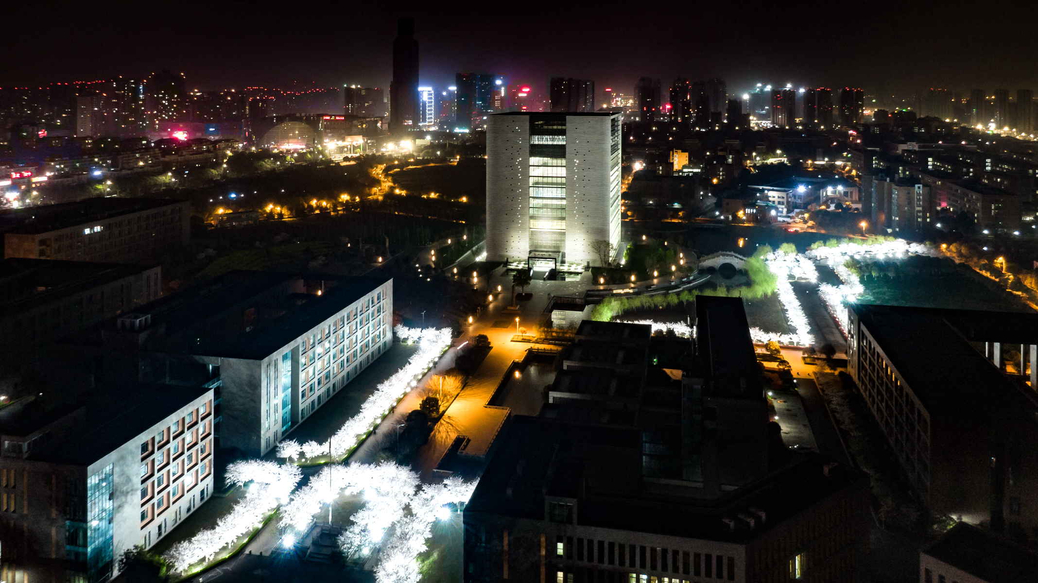 同济大学大学浙江学院