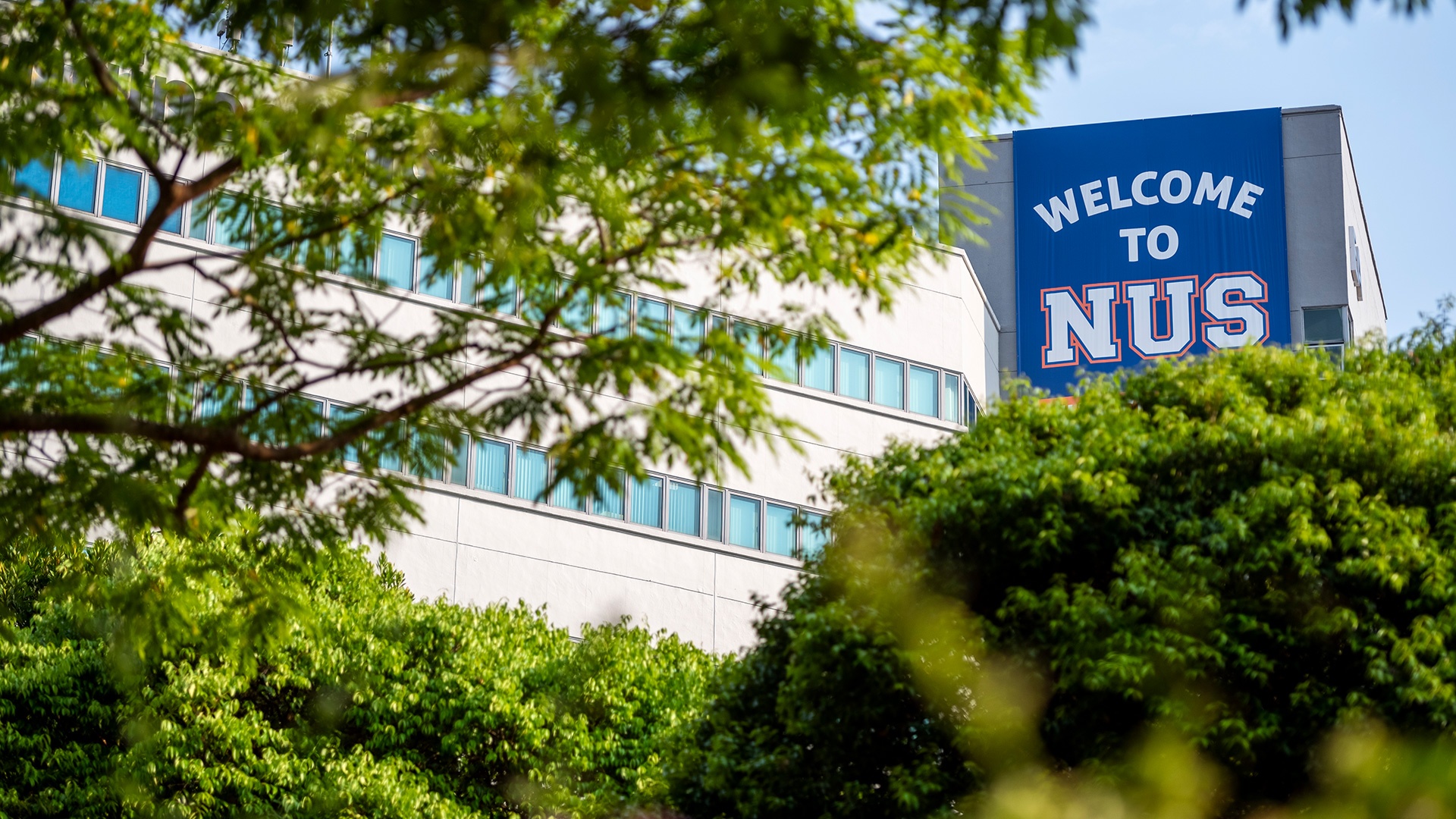 p>新加坡国立大学(national university of singapore),简称国大(nus
