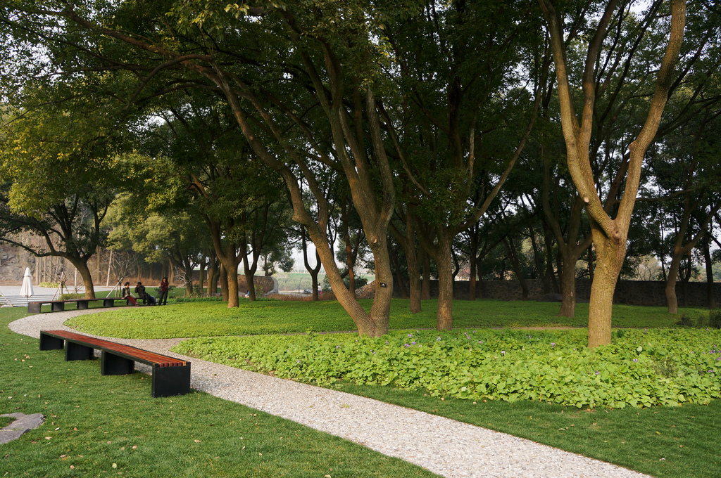  p>疏林草地景观是指在一定草本植被覆盖中混生着