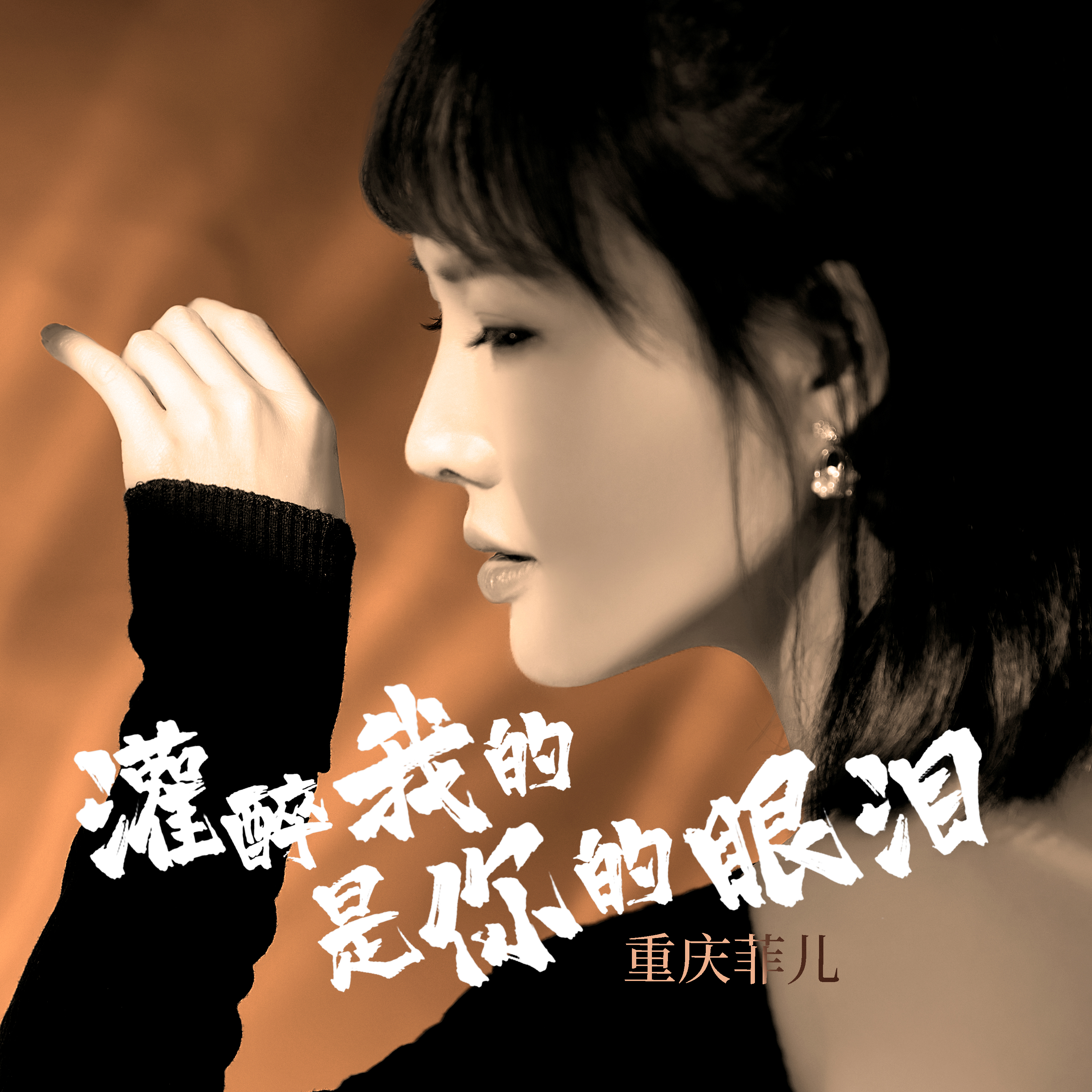 id="svhlghzvo4xn">1 /sup>》,由重庆菲尔演唱,孙英男作词,刘艺新作曲