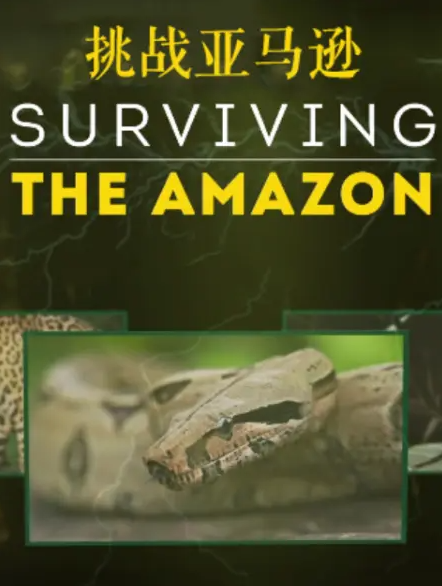  p>《挑战亚马逊》是2019年播出的探险类纪录片,共5集. /p>