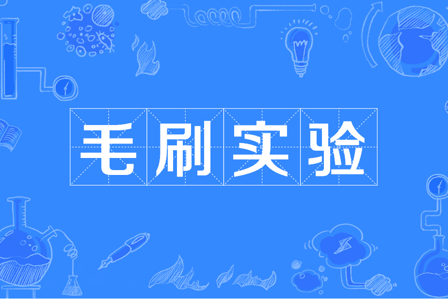 毛刷实验