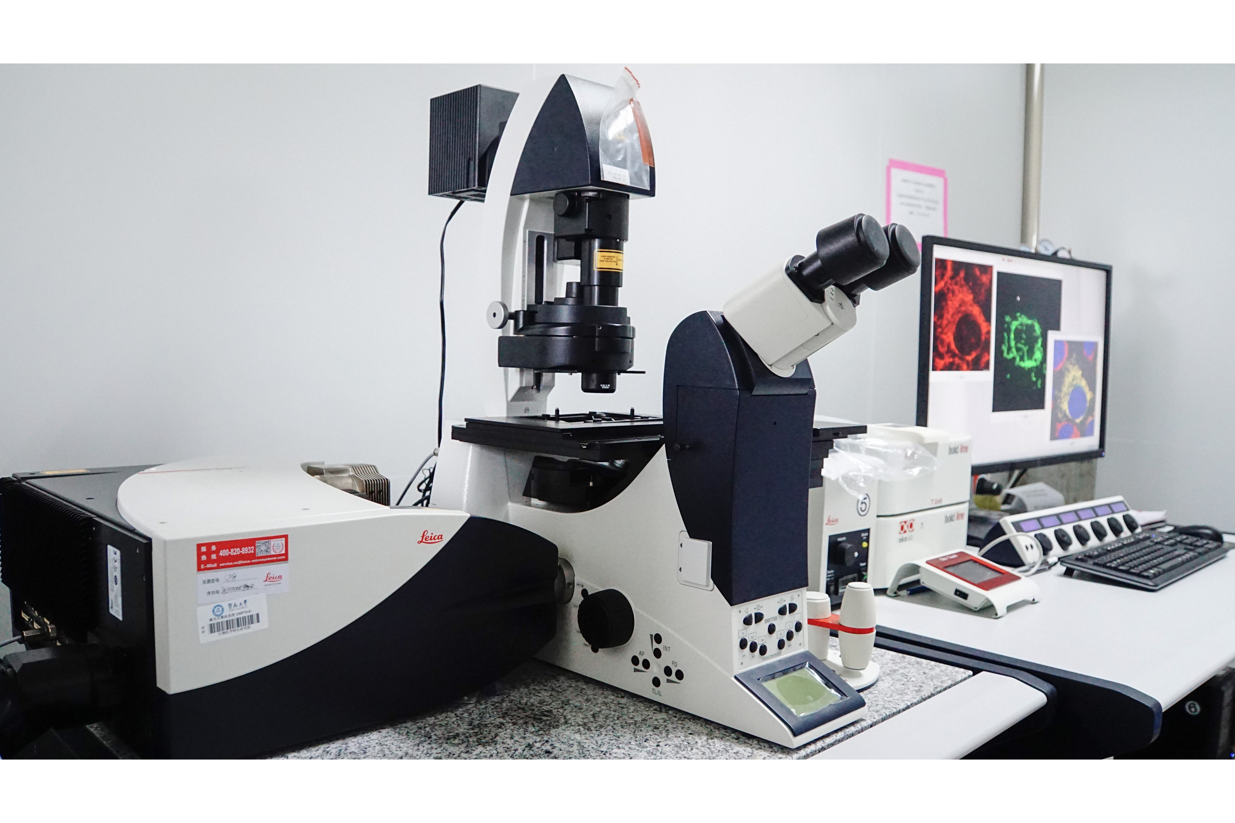 激光共聚焦扫描显微镜