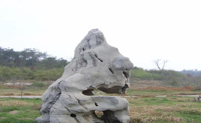 读贾平凹《丑石》：坚持自己重要，推销自己同样重要_百科TA说