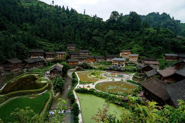 36公顷,是雷公山国家级森林公园的重要组成部分.