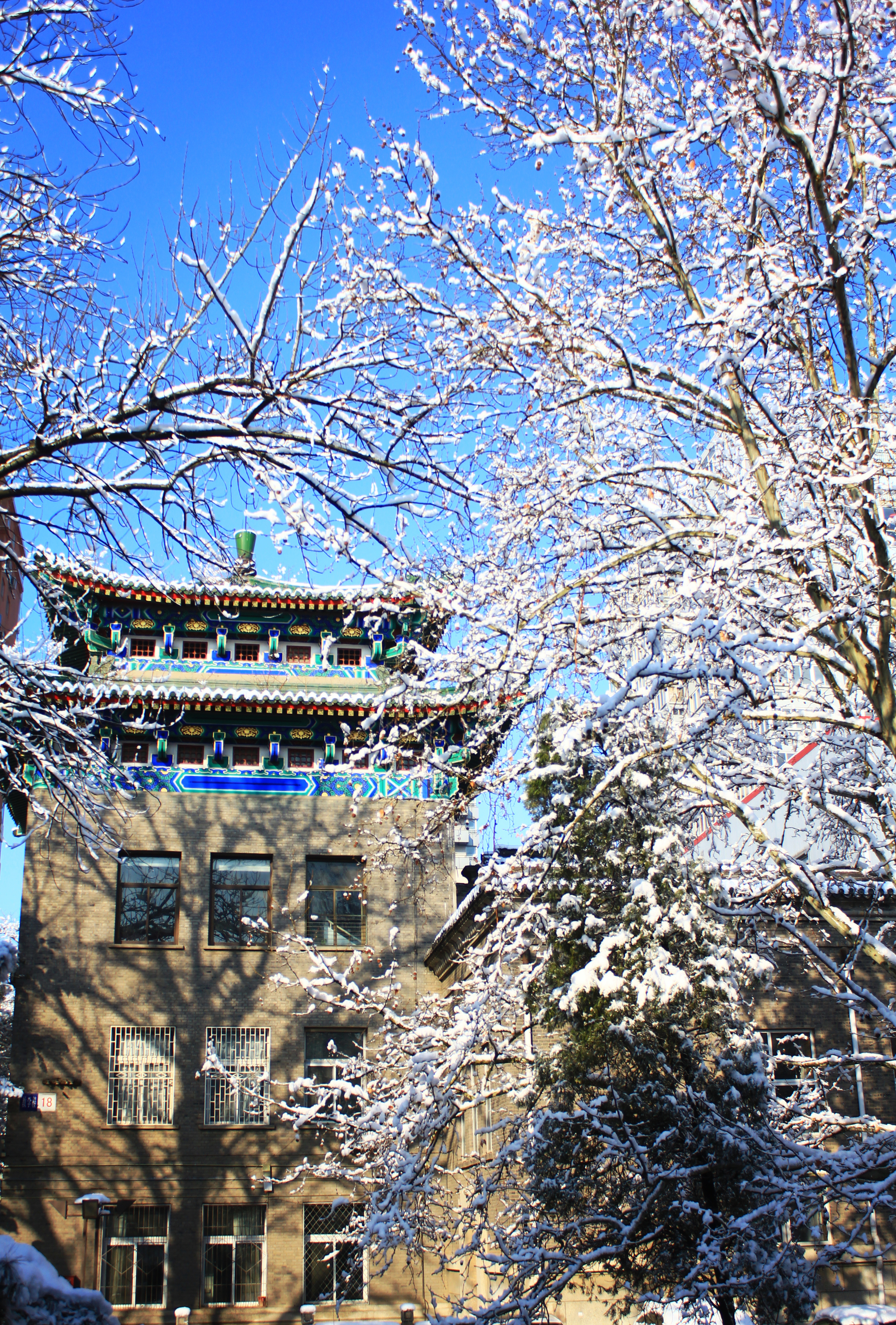 中央民族大学民族学与社会学学院