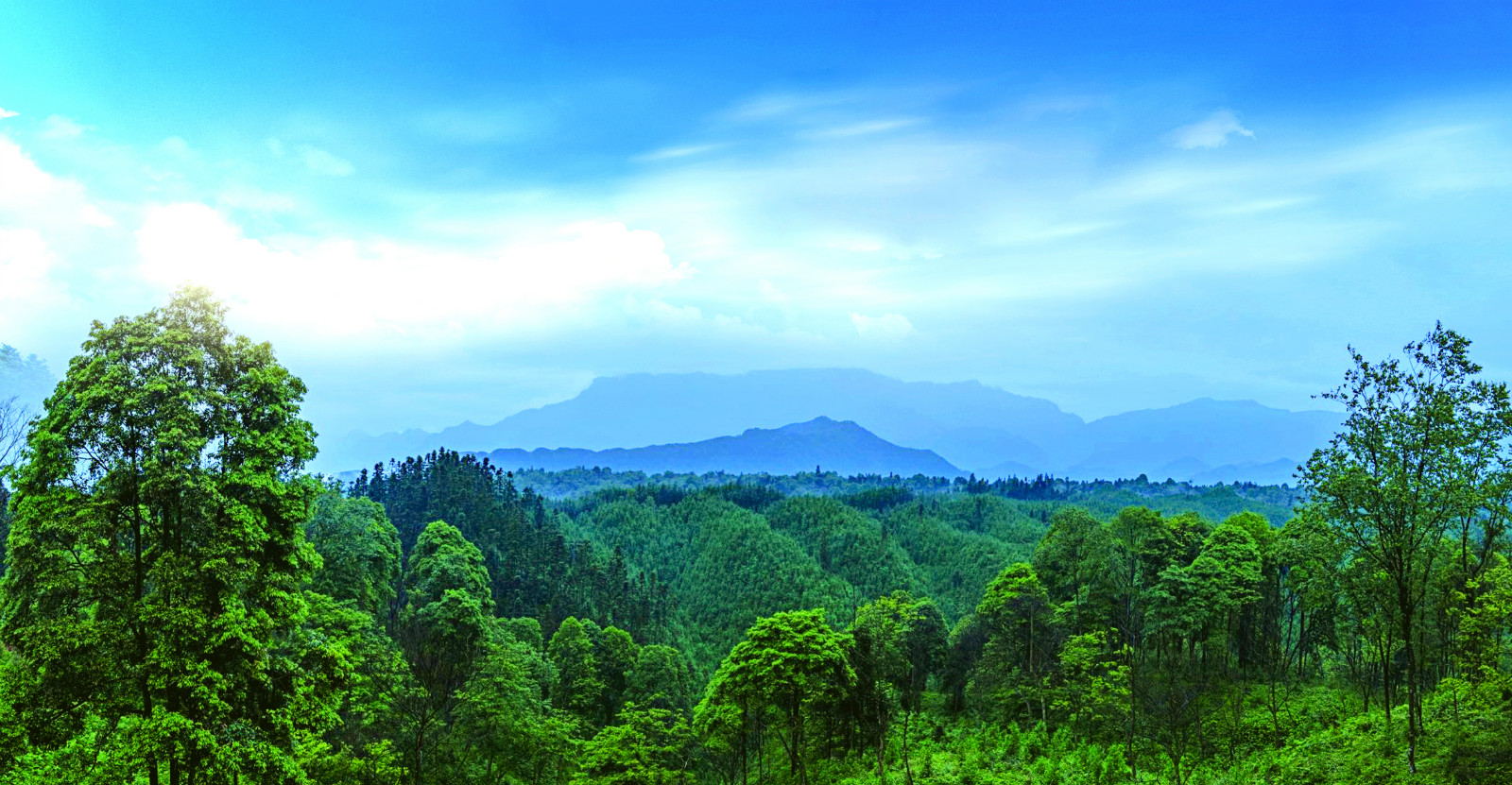  p>雅安海子山位于中国四川省雅安市的雨城区望鱼镇境内.