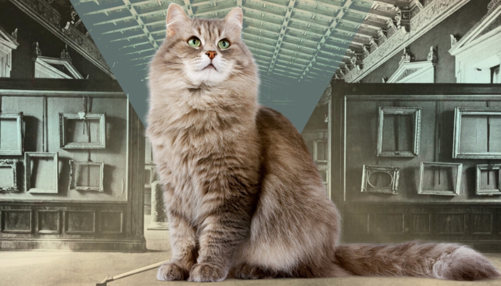 42vsj">冬宫猫(俄文 Эрмитажные коты,英文:hermitage