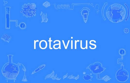 rotavirus_百度百科